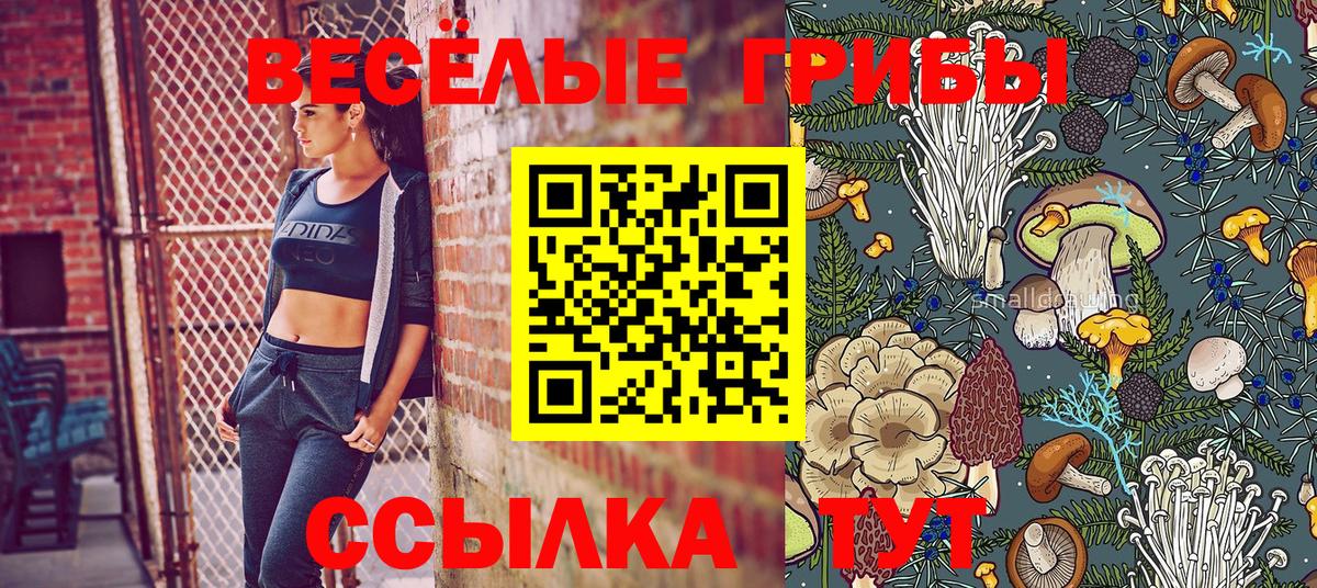 Псилоцибиновые грибы MAGIC MUSHROOMS Нарткала